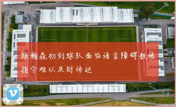杨瀚森初到球队面临语言障碍教练指令难以及时传达